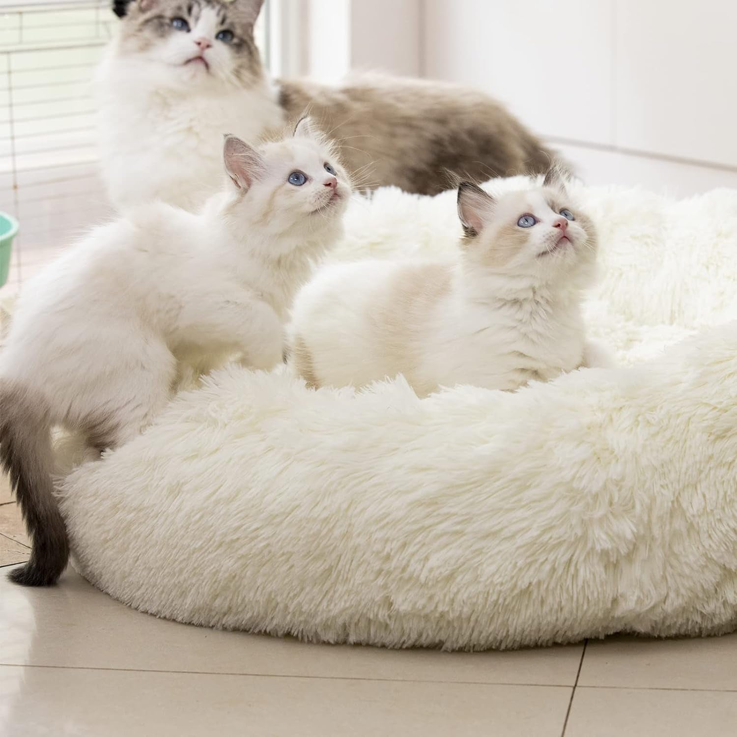 Raimaiso large Anti-Anxiety Round Fluffy Plush Faux Fur Warm Washable Cat Bed