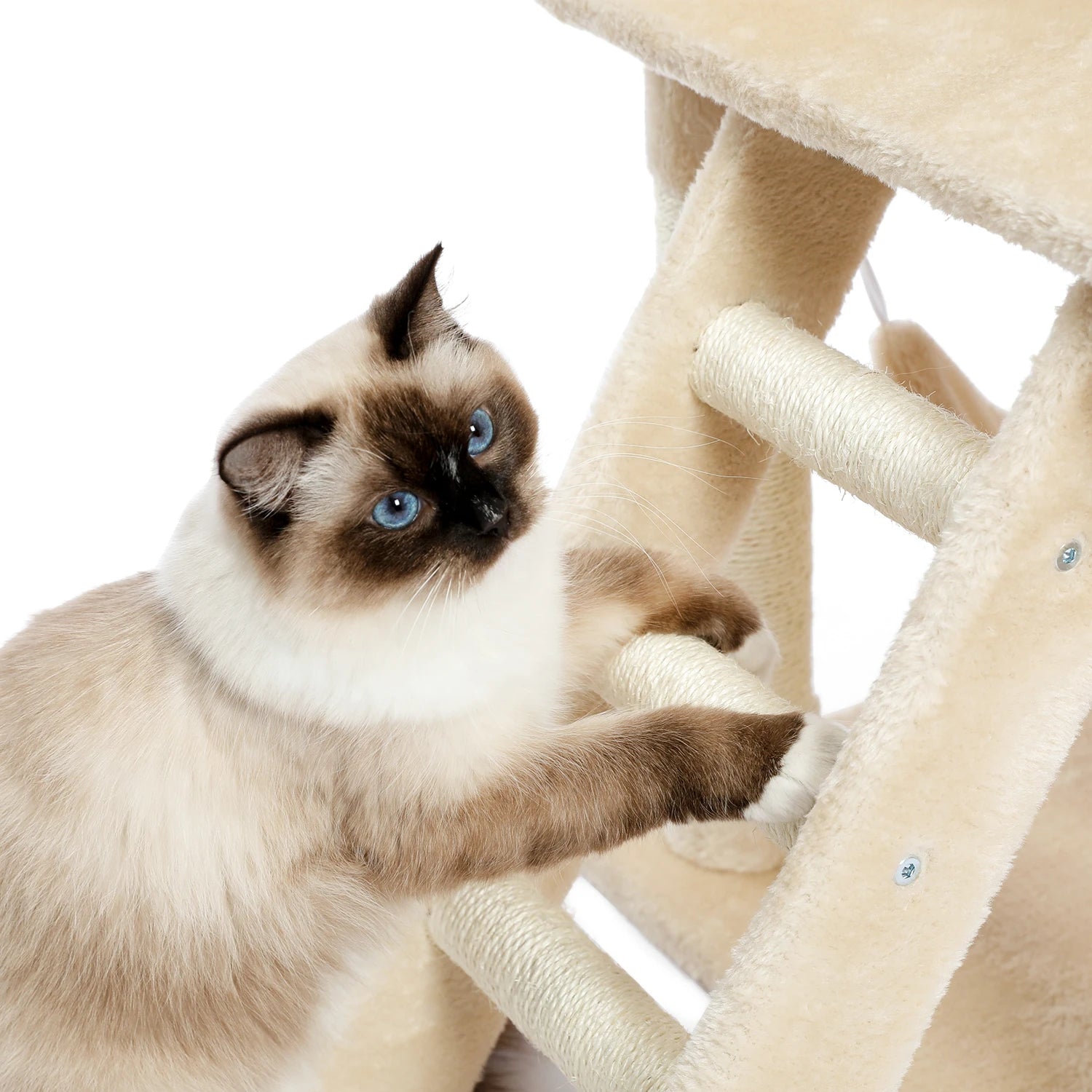 Pawz road Mult-level cat tree house Perch