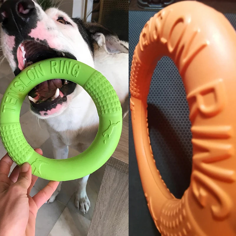 EVA Interactive Training Ring Puller Resistant for Dogs