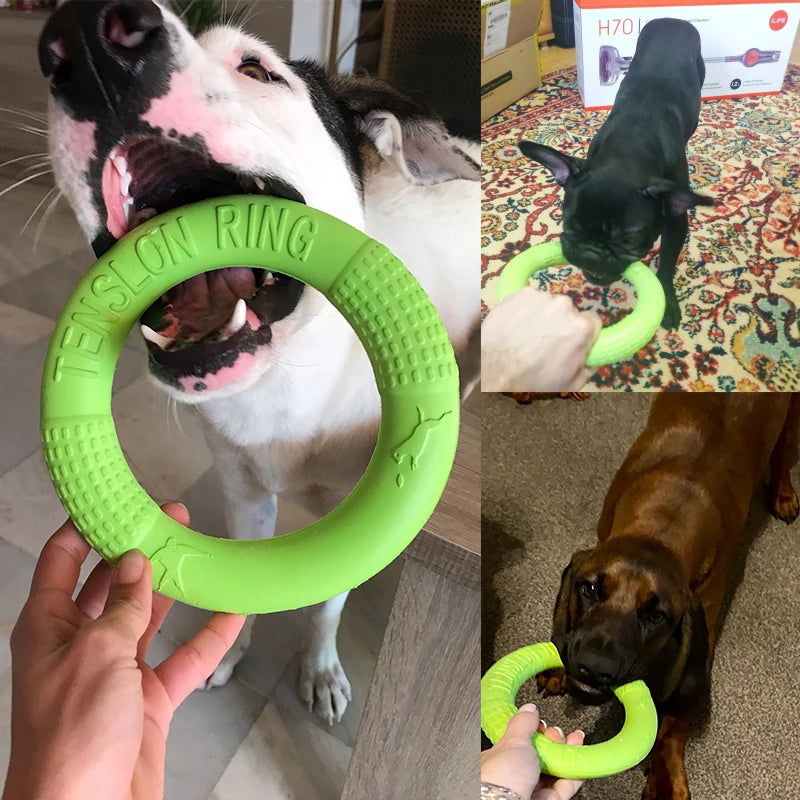 EVA Interactive Training Ring Puller Resistant for Dogs