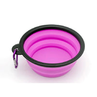 Outdoor Portable Puppy Water Container with Carabiner Folding