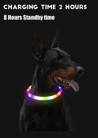 Led Light Glowing Loss Prevention LED Collar For Dogs