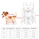 Pet Carrier backpack Adjustable Oxford Cloth