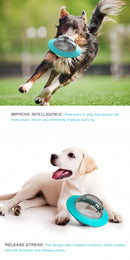 Dog Increase Intelligence Elliptical Track Rolling Ball Leaky Food