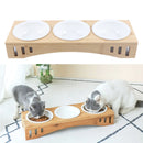 Pets Bowl Feeding And Water 3-Bowl Feeding Station Non-Slip