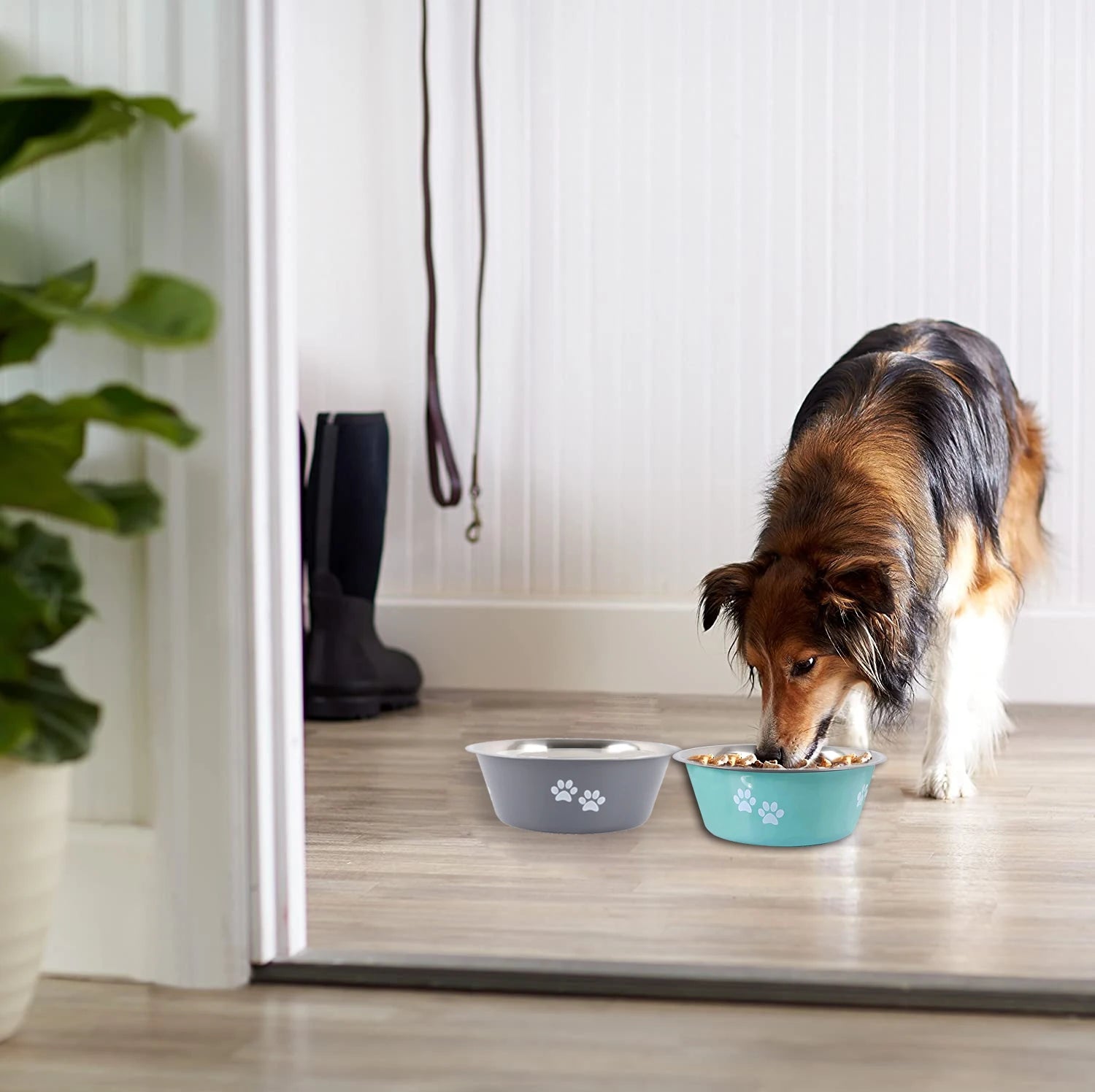 Stainless-steel Non-slip Dog/ Cat Bowls