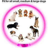 Led Light Glowing Loss Prevention LED Collar For Dogs