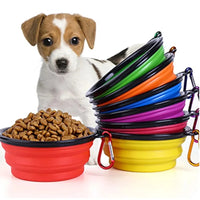 Outdoor Portable Puppy Water Container with Carabiner Folding