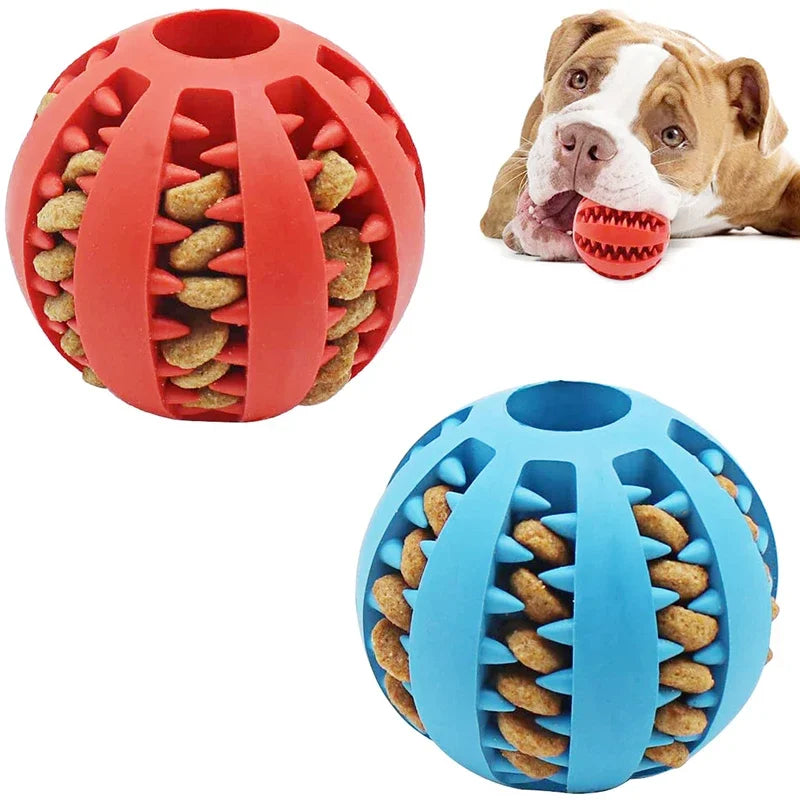 Dog Ball Toys for Small Dogs Interactive Elasticity Puppy Chew Toy