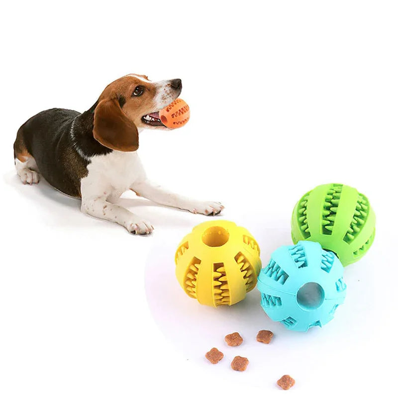 Dog Ball Toys for Small Dogs Interactive Elasticity Puppy Chew Toy