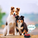 Training Button Recordable Pet Communication Dog Toys