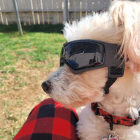 UV Protective Goggles for Dogs Sunglasses Cool Protection