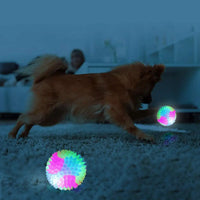 Glowing LED Puppy Flashing Elastic Ball Toy