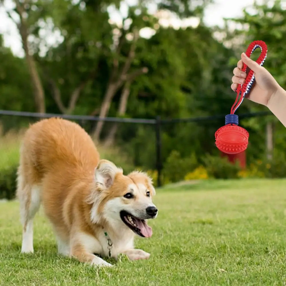 Dog Ball Toy With Rope Interactive Teether with Rope