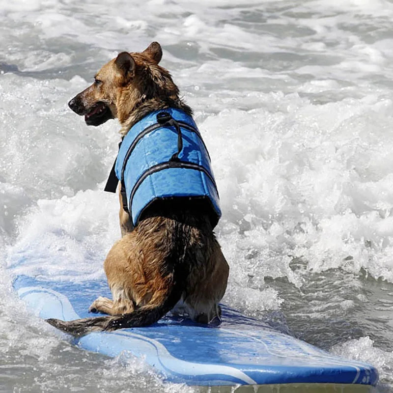 Reflective Summer Dog Life Vest