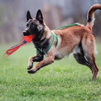 Dog Ball Toy With Rope Interactive Teether with Rope