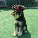 UV Protective Goggles for Dogs Sunglasses Cool Protection