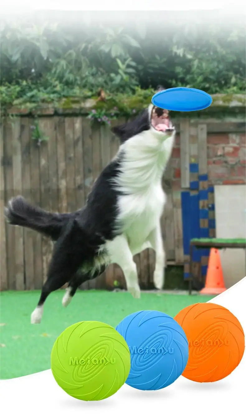 Flying disc for dogs