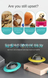 Dog Increase Intelligence Elliptical Track Rolling Ball Leaky Food