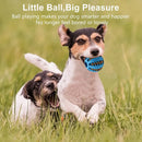 Dog Ball Toys for Small Dogs Interactive Elasticity Puppy Chew Toy