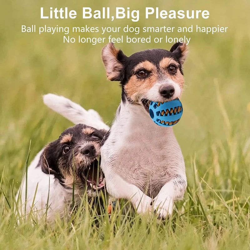 Dog Ball Toys for Small Dogs Interactive Elasticity Puppy Chew Toy