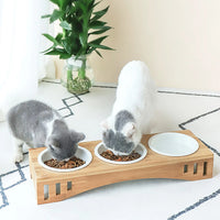 Pets Bowl Feeding And Water 3-Bowl Feeding Station Non-Slip