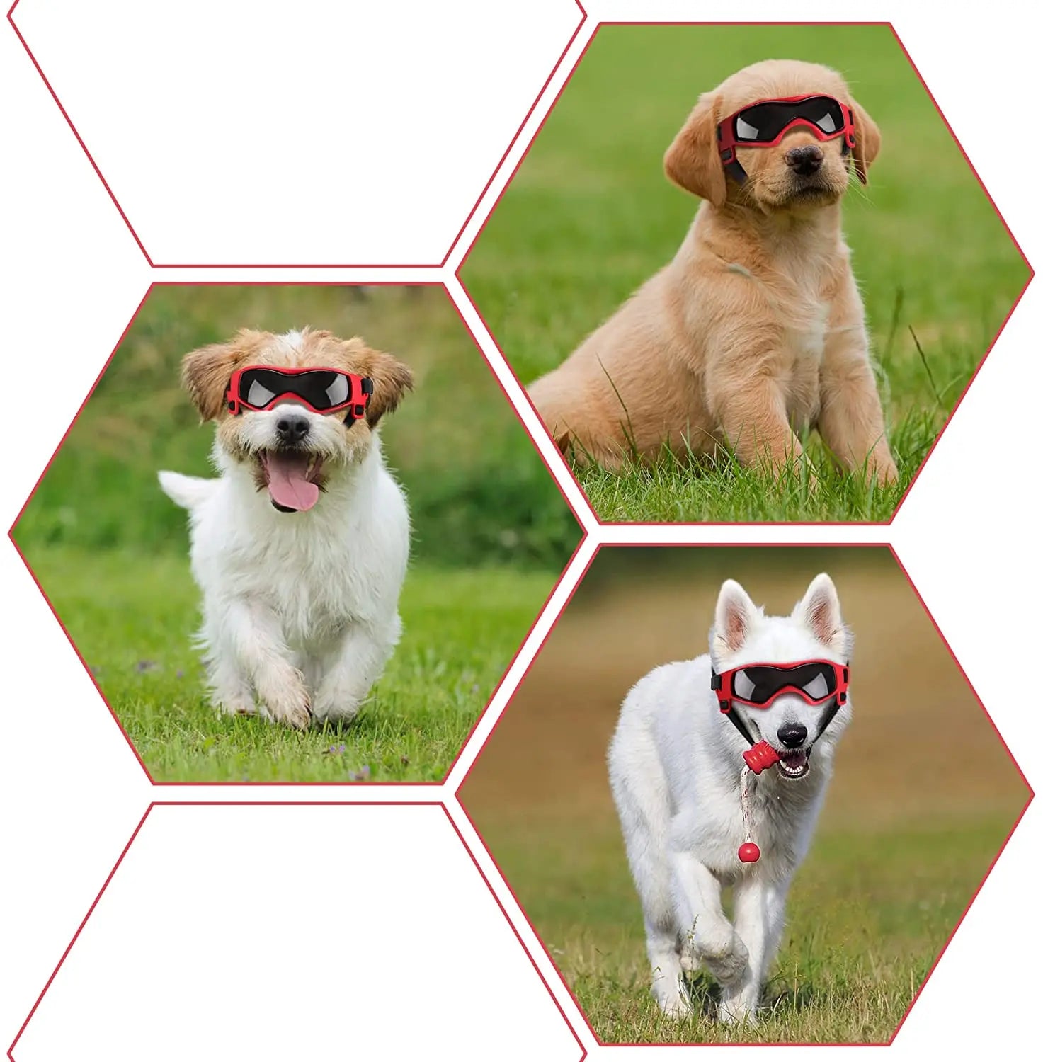 UV Protective Goggles for Dogs Sunglasses Cool Protection