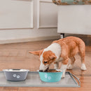 Stainless-steel Non-slip Dog/ Cat Bowls