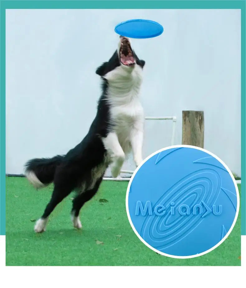 Bite-Resistant Flying Disc Toys For Dog Multifunction Training Toys