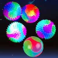 Glowing LED Puppy Flashing Elastic Ball Toy