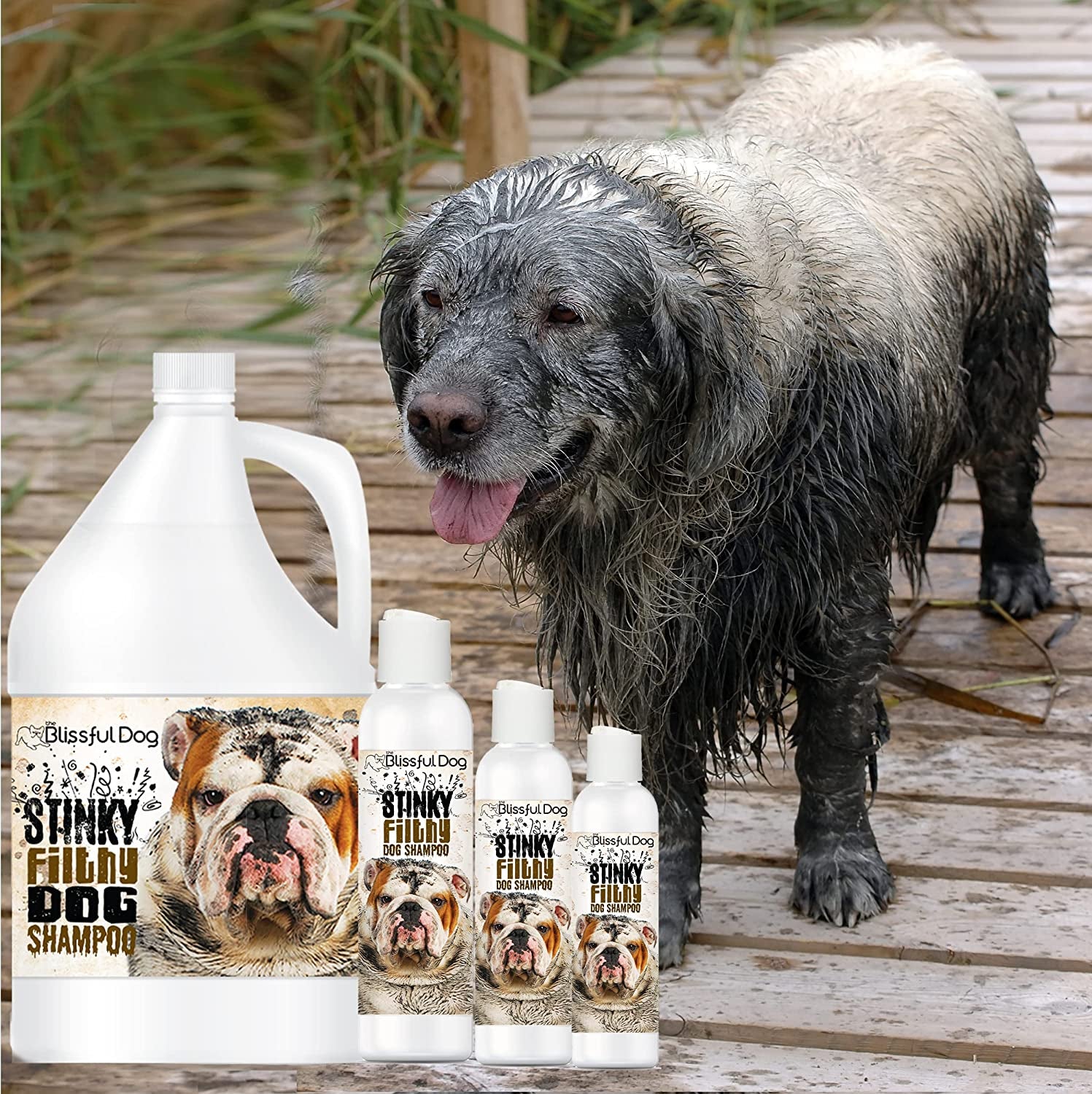 Stinky Filthy Dog Shampoo, 16 Oz